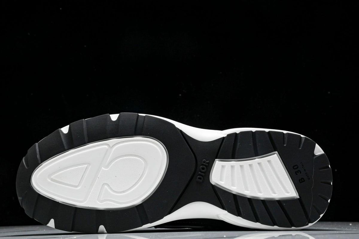 Dior B30 Sneaker