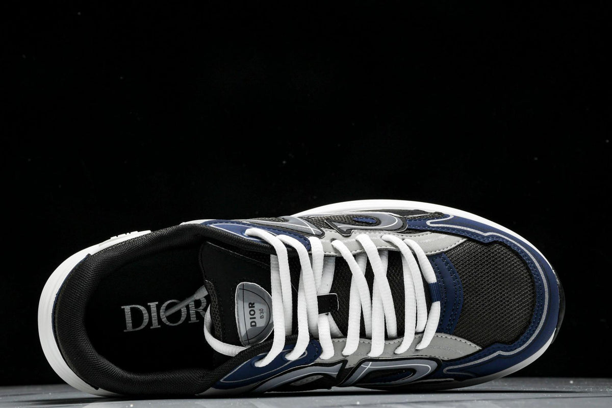 Dior B30 Sneaker