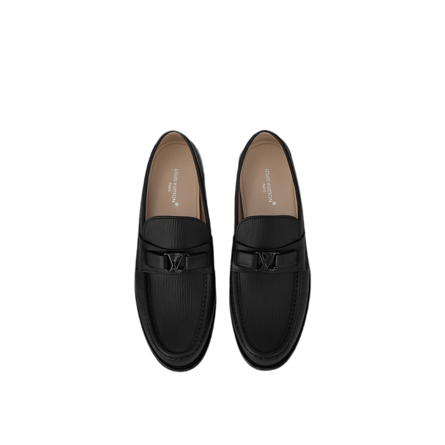 Mocassin Major