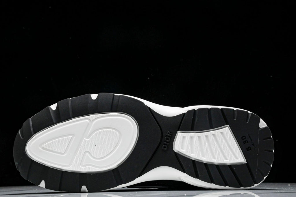 Dior B30 Sneaker
