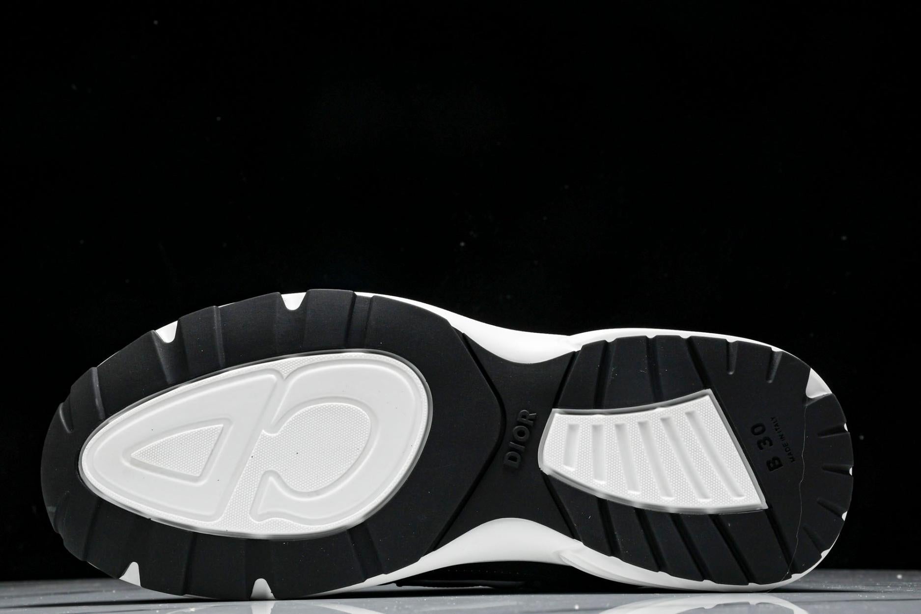 Dior B30 Sneaker