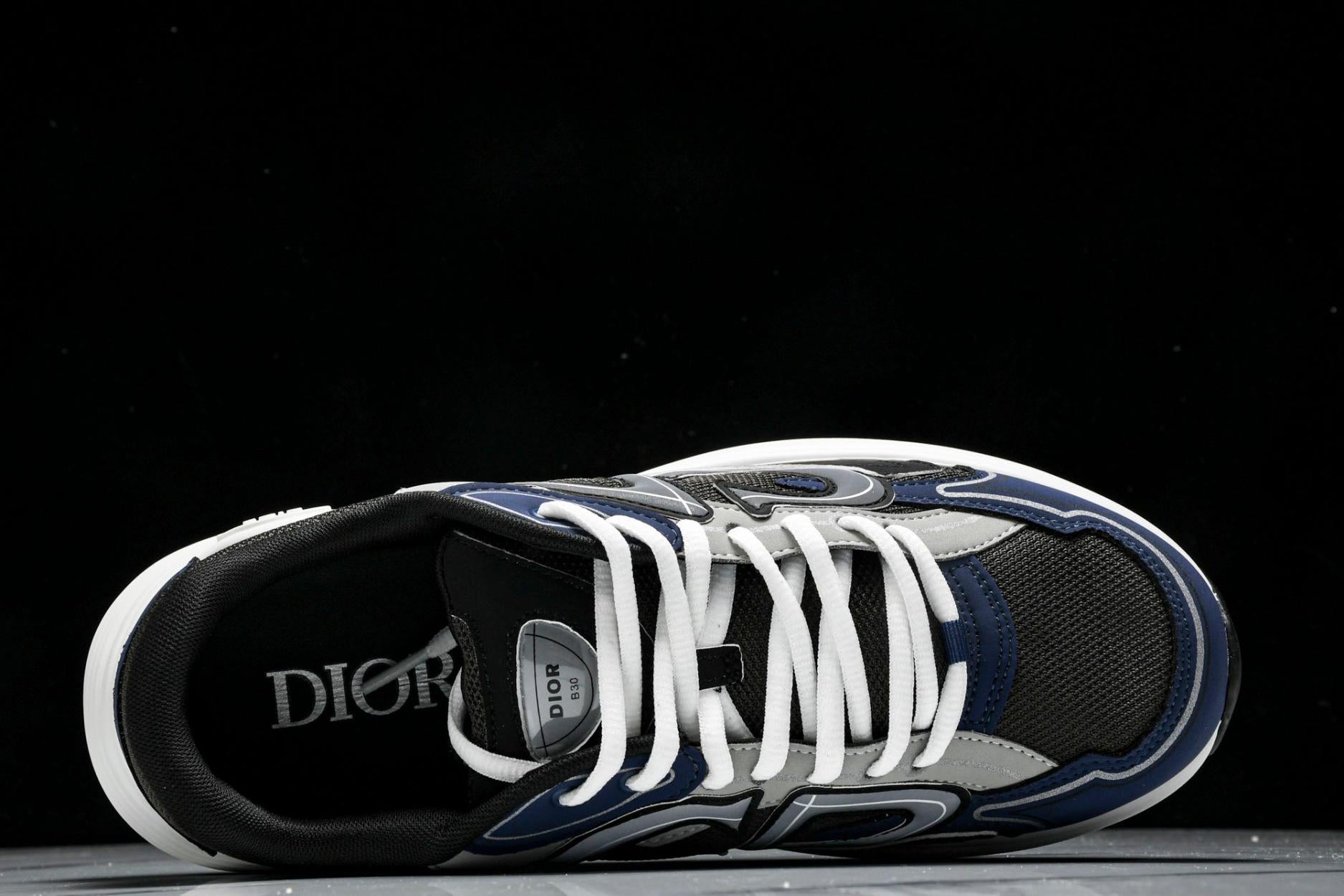 Dior B30 Sneaker