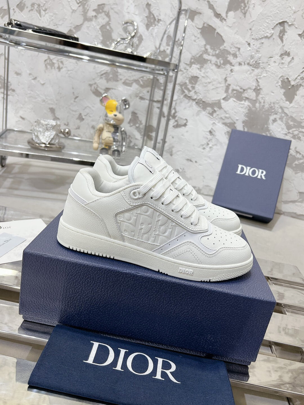 DIOR B27