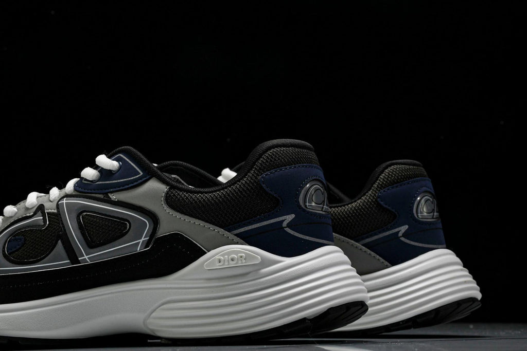 Dior B30 Sneaker