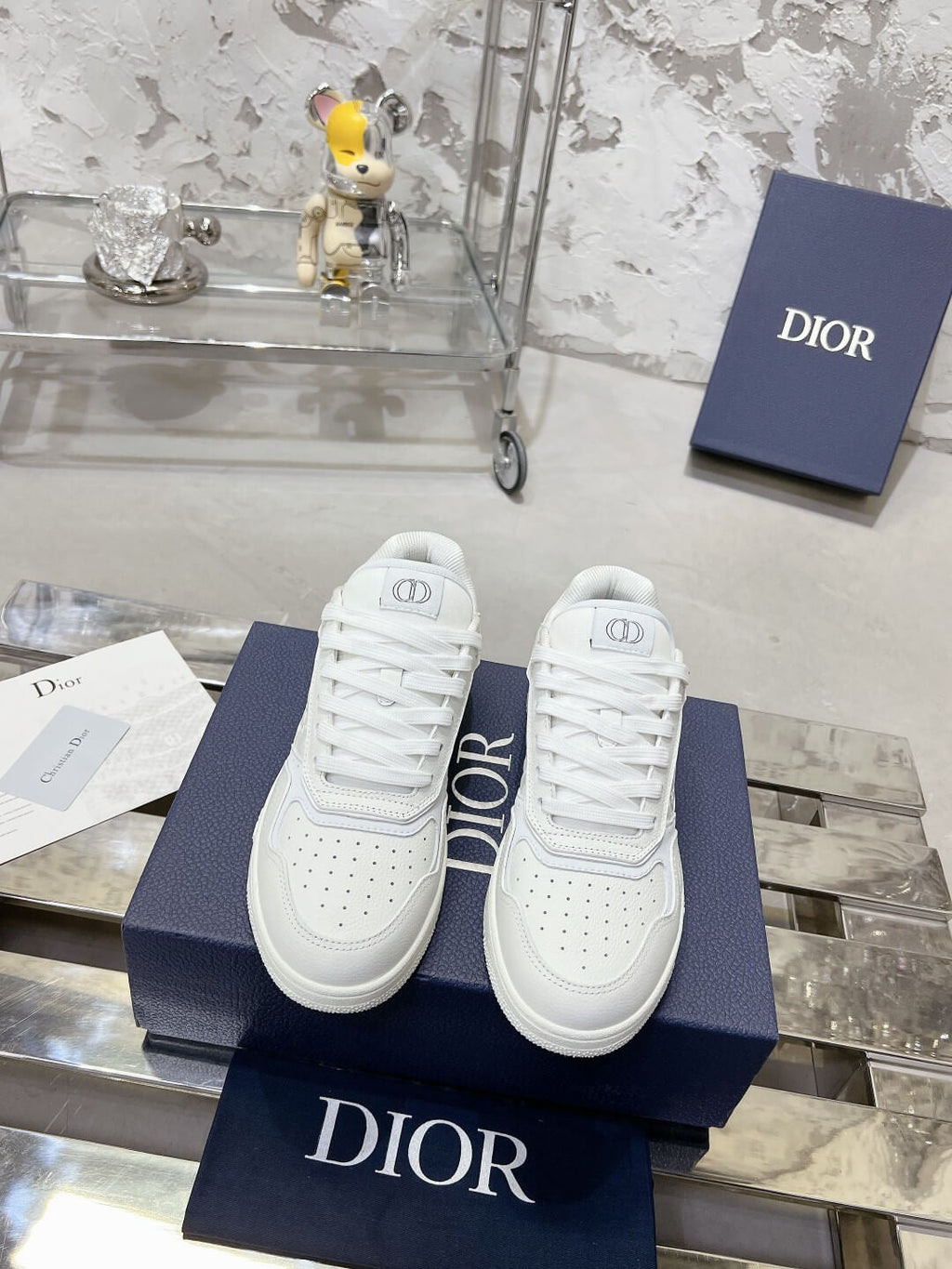 DIOR B27
