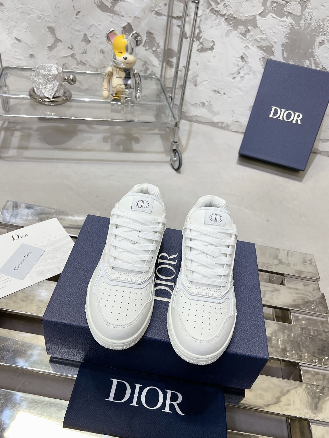 DIOR B27